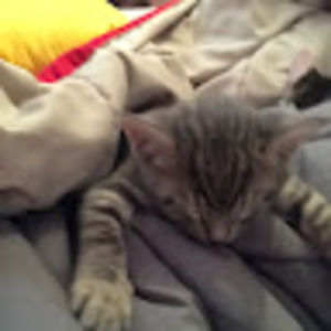 Meet your Posher, Mimi